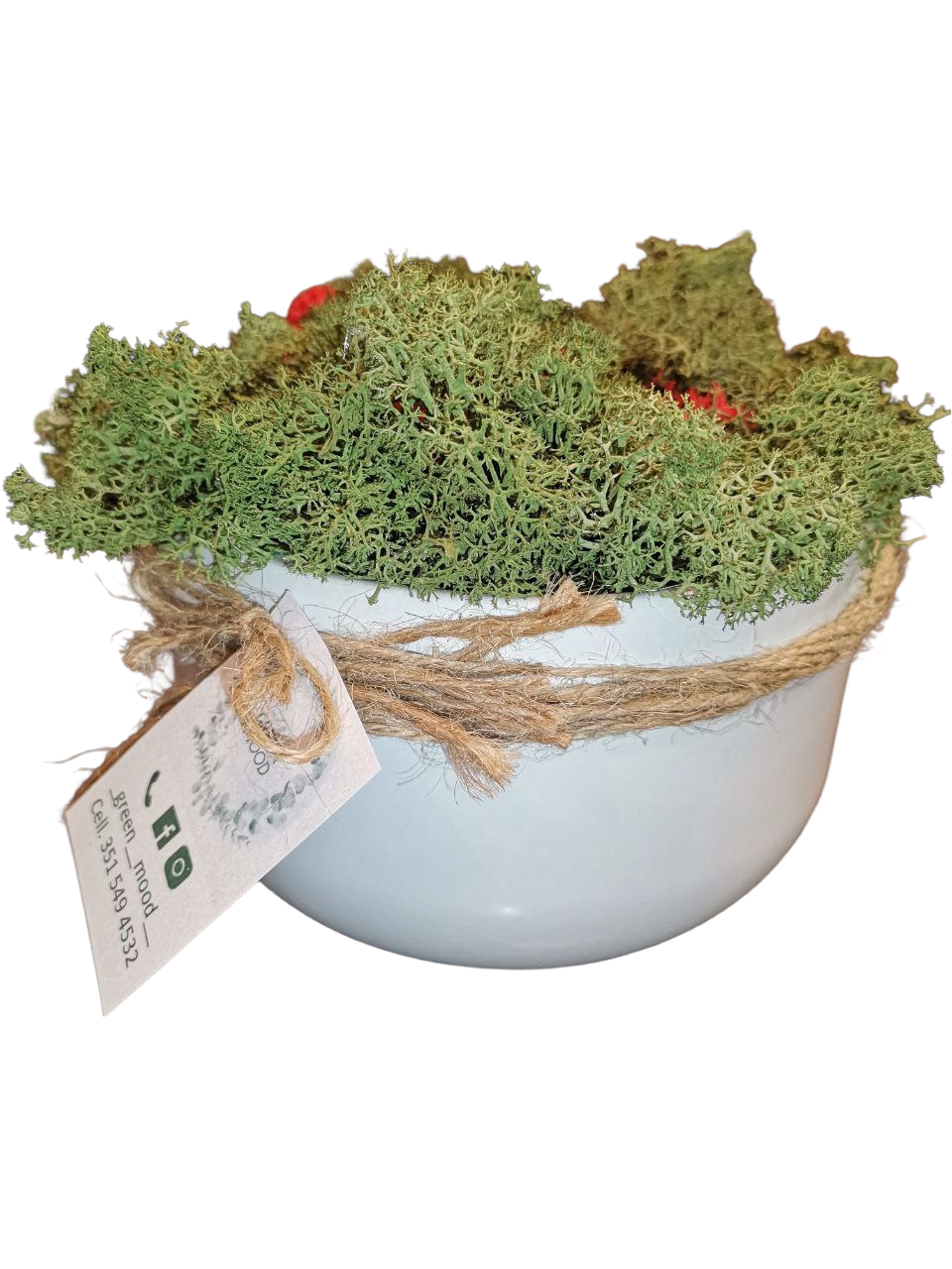 Contenitore in ceramica con lichene stabilizzato