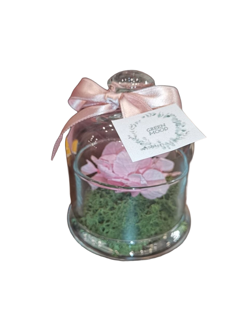 Cupola in vetro con lichene e ortensie stabilizzato