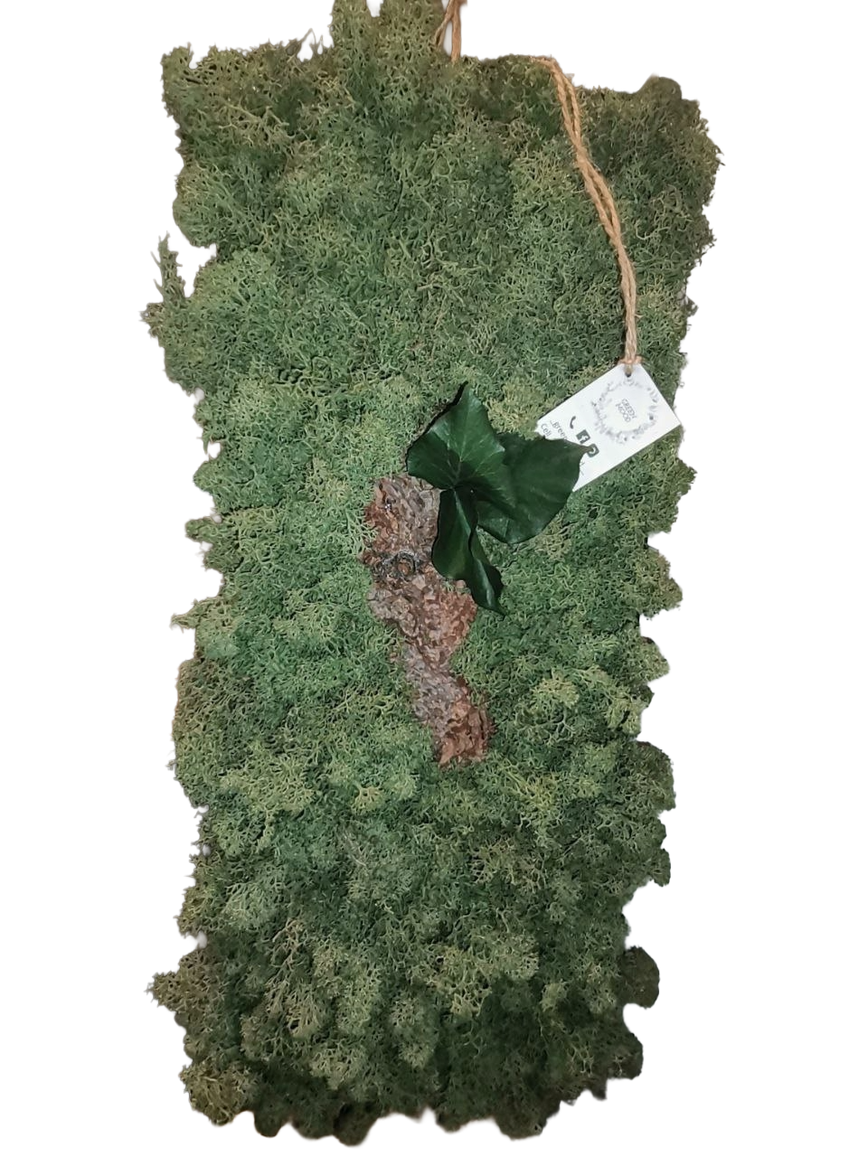 Giardino verticale artigianale da parete