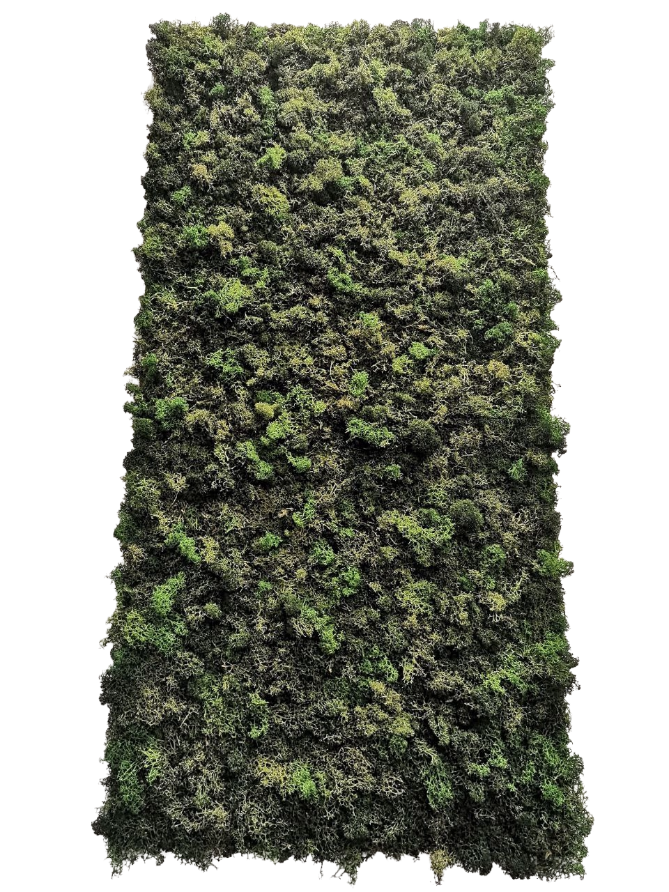 Giardino verticale artigianale da parete